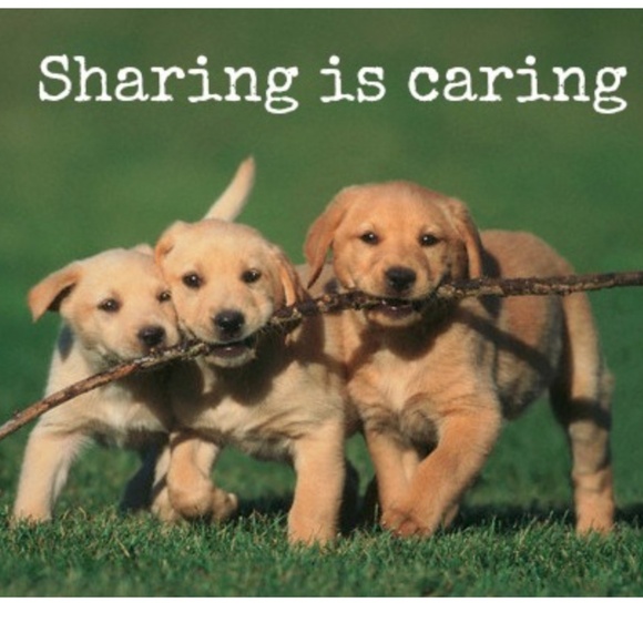 💚You share 20 💚I Share 20 💚💚💚💚💚💚💚 - Picture 1 of 1